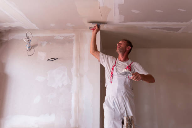 Best Custom Drywall Designs  in Belleview, FL